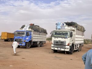 الأمم المتحدة: شاحنات الإغاثة عالقة في الطريق إلى دارفور