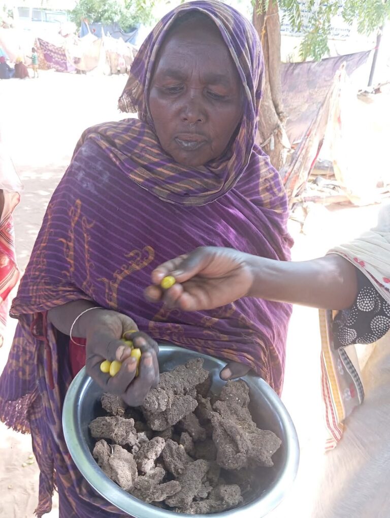 https://www.darfur24.com/wp-content/uploads/2025/08/IMG-20250802-WA0035-768x1020.jpg